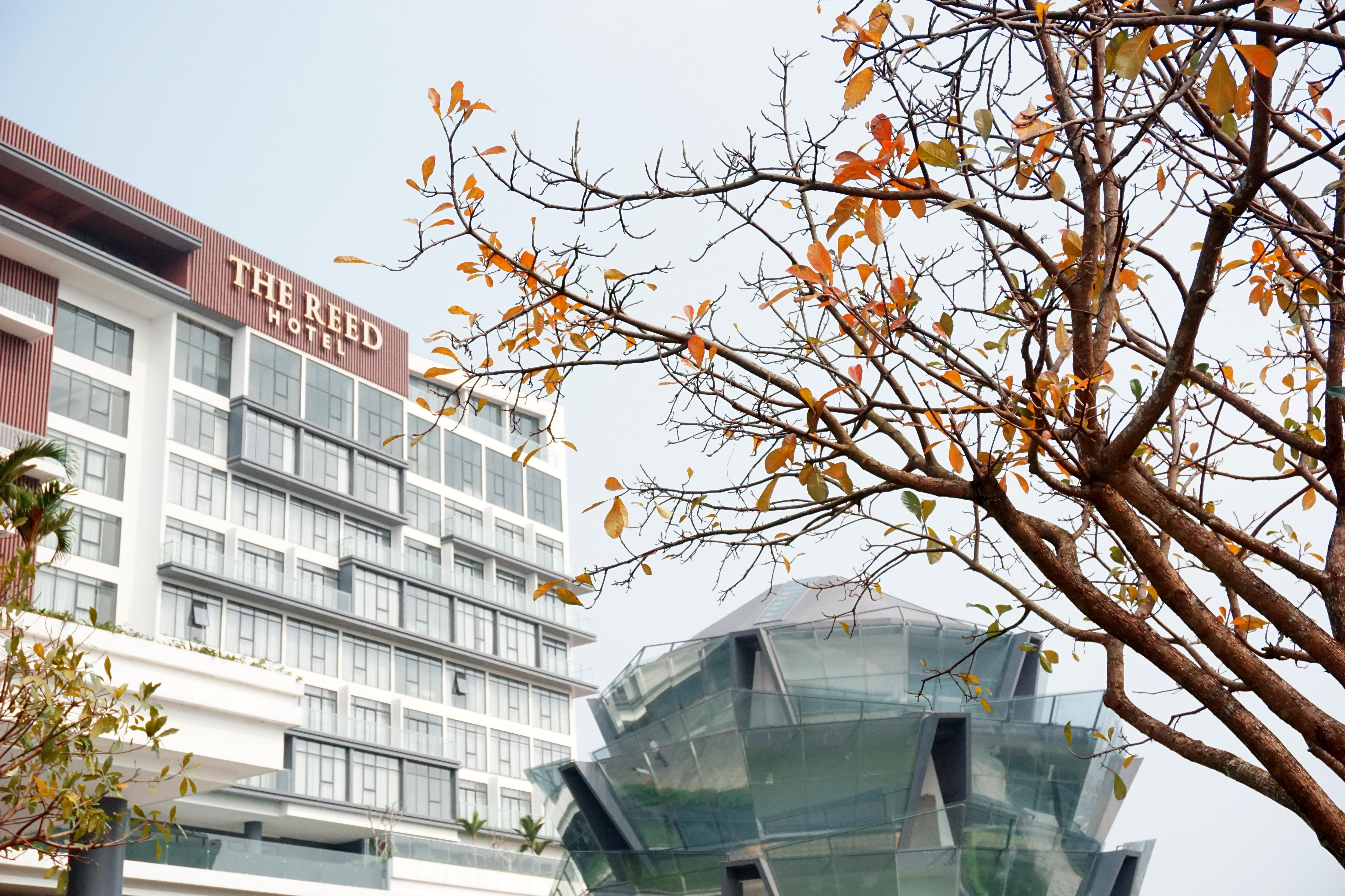 The Reed Hotel Ninh Binh Eksteriør bilde